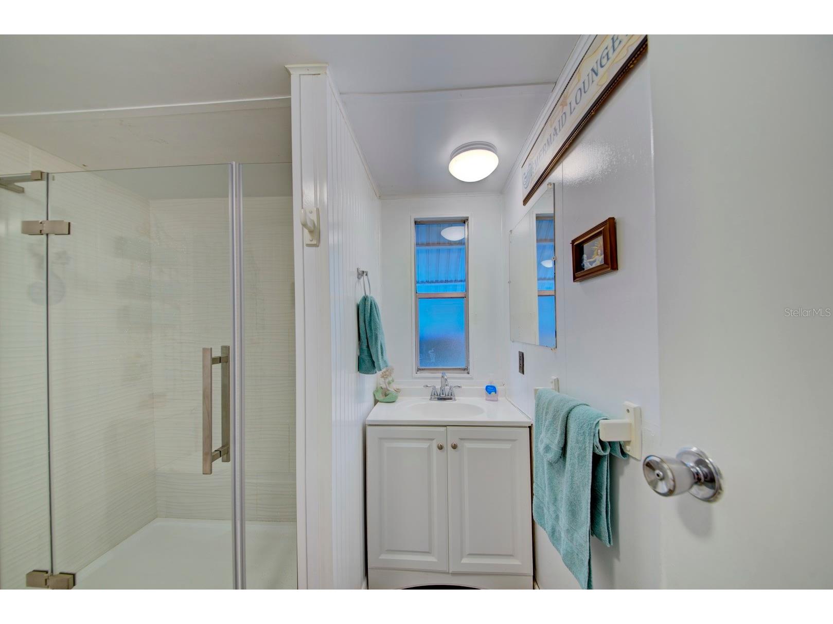 6427 W Richard Drive Weeki Wachee FL 34607 - WEEKI WACHEE RIVER GULF TB8456708 image16