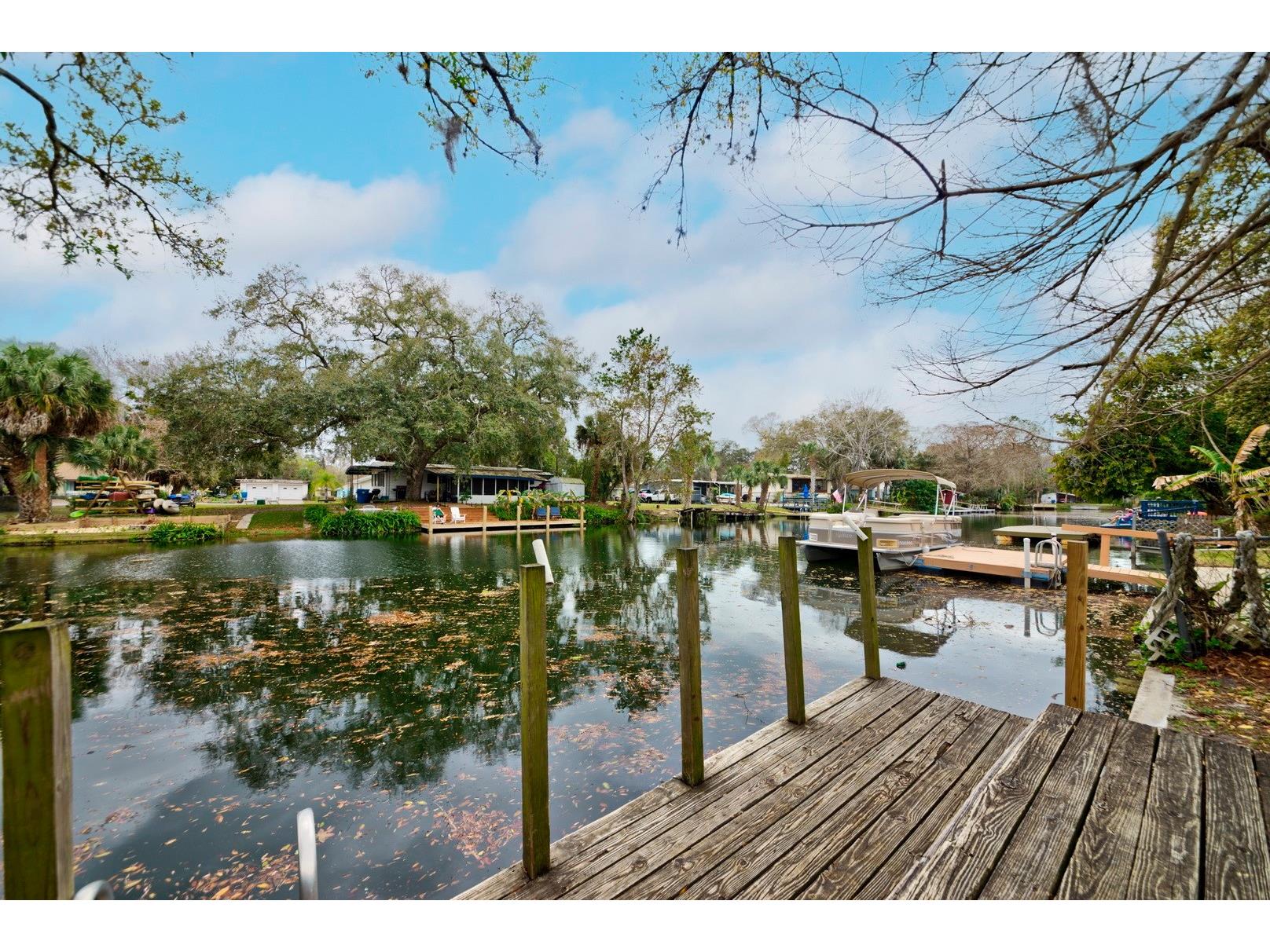 6427 W Richard Drive Weeki Wachee FL 34607 - WEEKI WACHEE RIVER GULF TB8456708 image24
