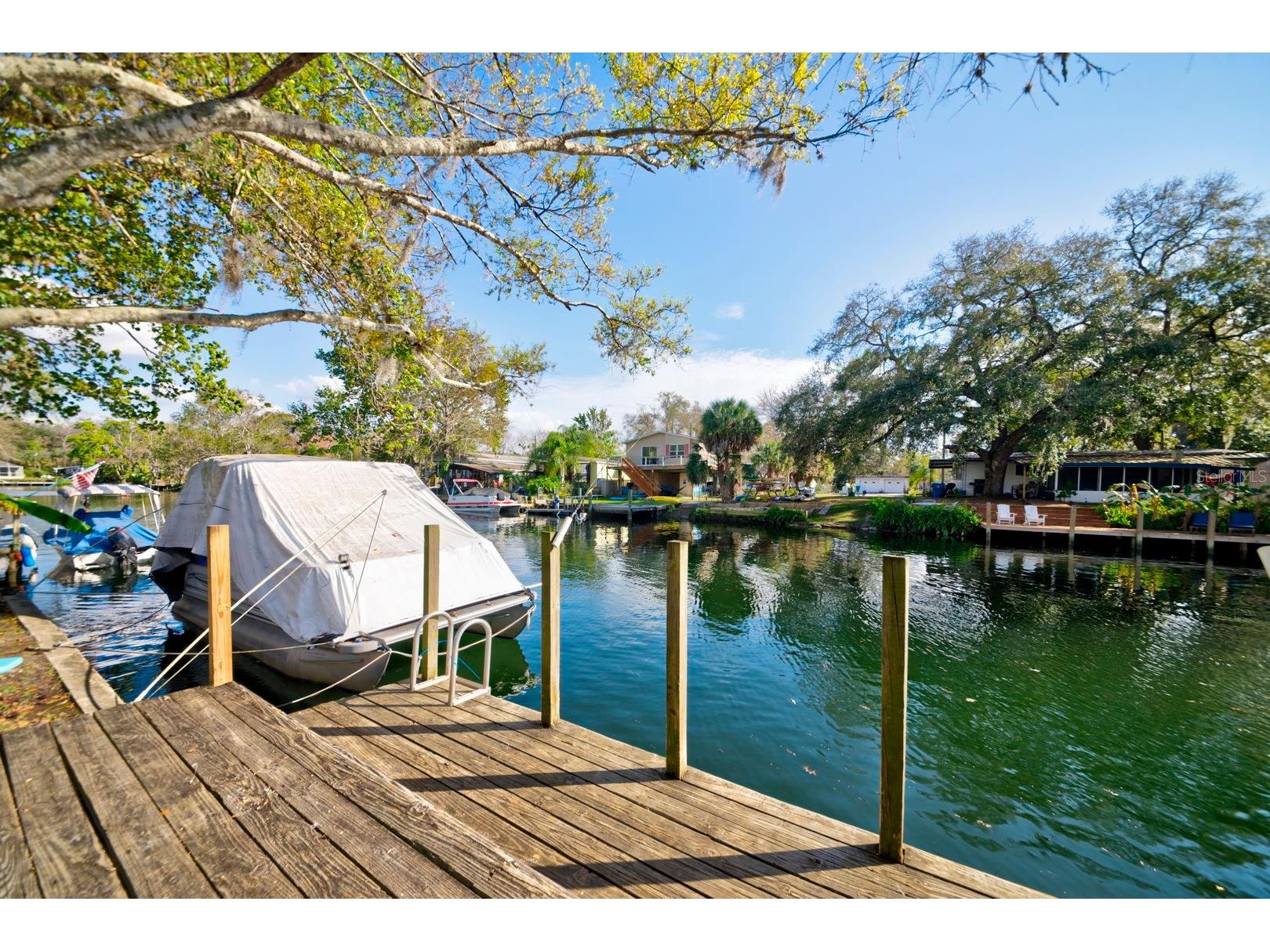 6427 W Richard Drive Weeki Wachee FL 34607 - WEEKI WACHEE RIVER GULF TB8456708 image28