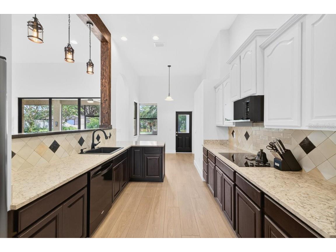 6428 Barcellona Road Land O Lakes FL 34637 TB8431079 image32