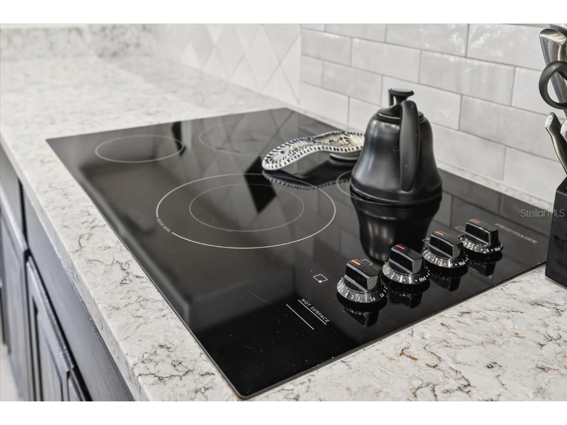 6428 Barcellona Road Land O Lakes FL 34637 TB8431079 image36