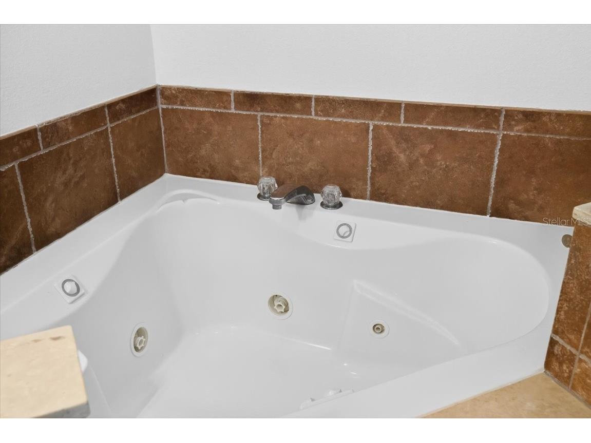 6428 Barcellona Road Land O Lakes FL 34637 TB8431079 image47