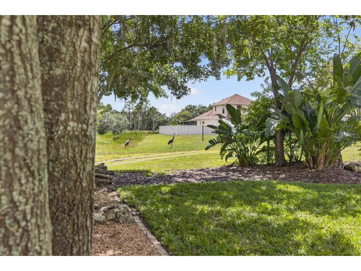 6428 Barcellona Road Land O Lakes FL 34637 TB8431079 image71