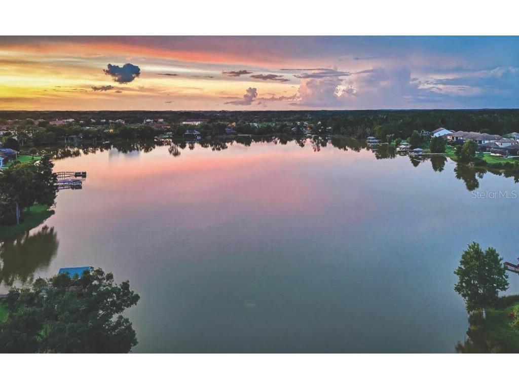 6428 Barcellona Road Land O Lakes FL 34637 TB8431079 image9
