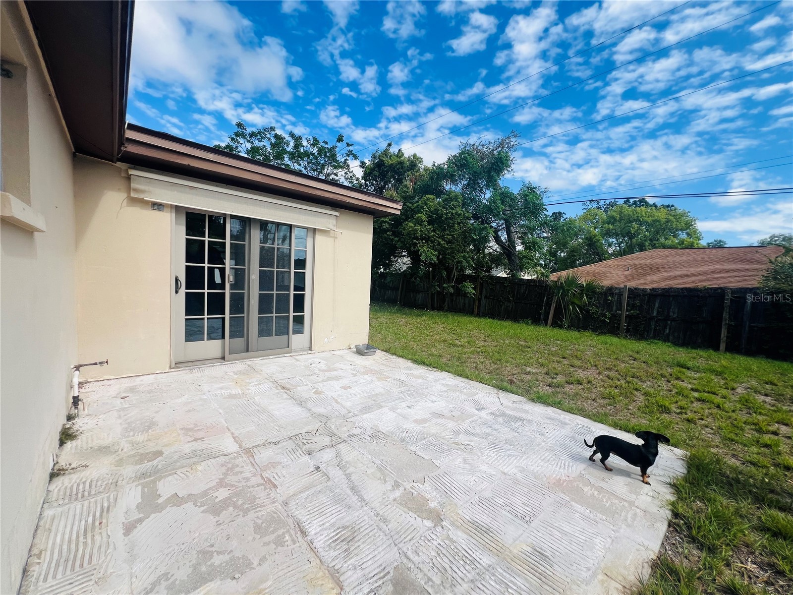 6428 Kentfield Avenue New Port Richey FL 34653 W7884713 image14