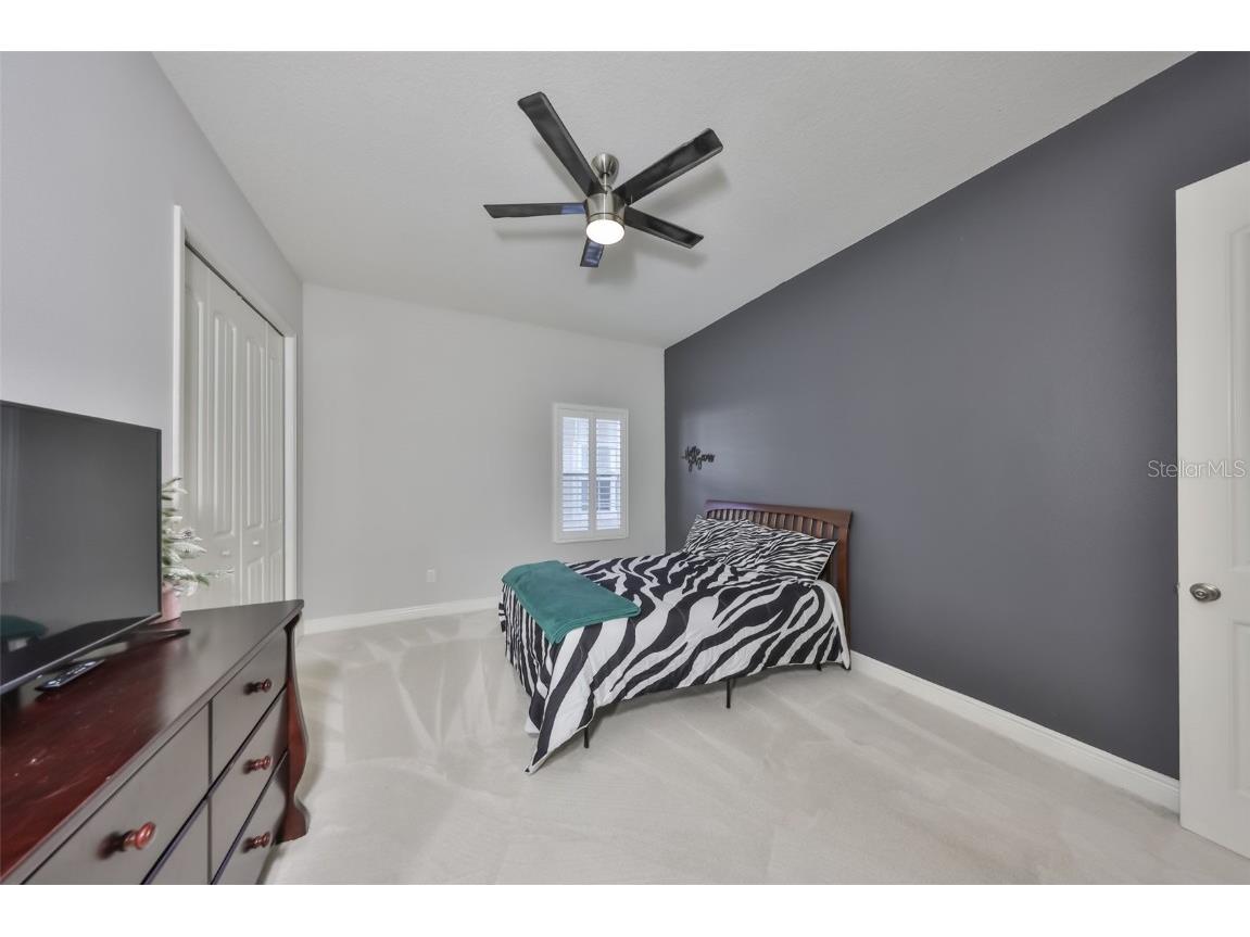 6429 Seasound Drive Apollo Beach FL 33572 TB8444240 image33