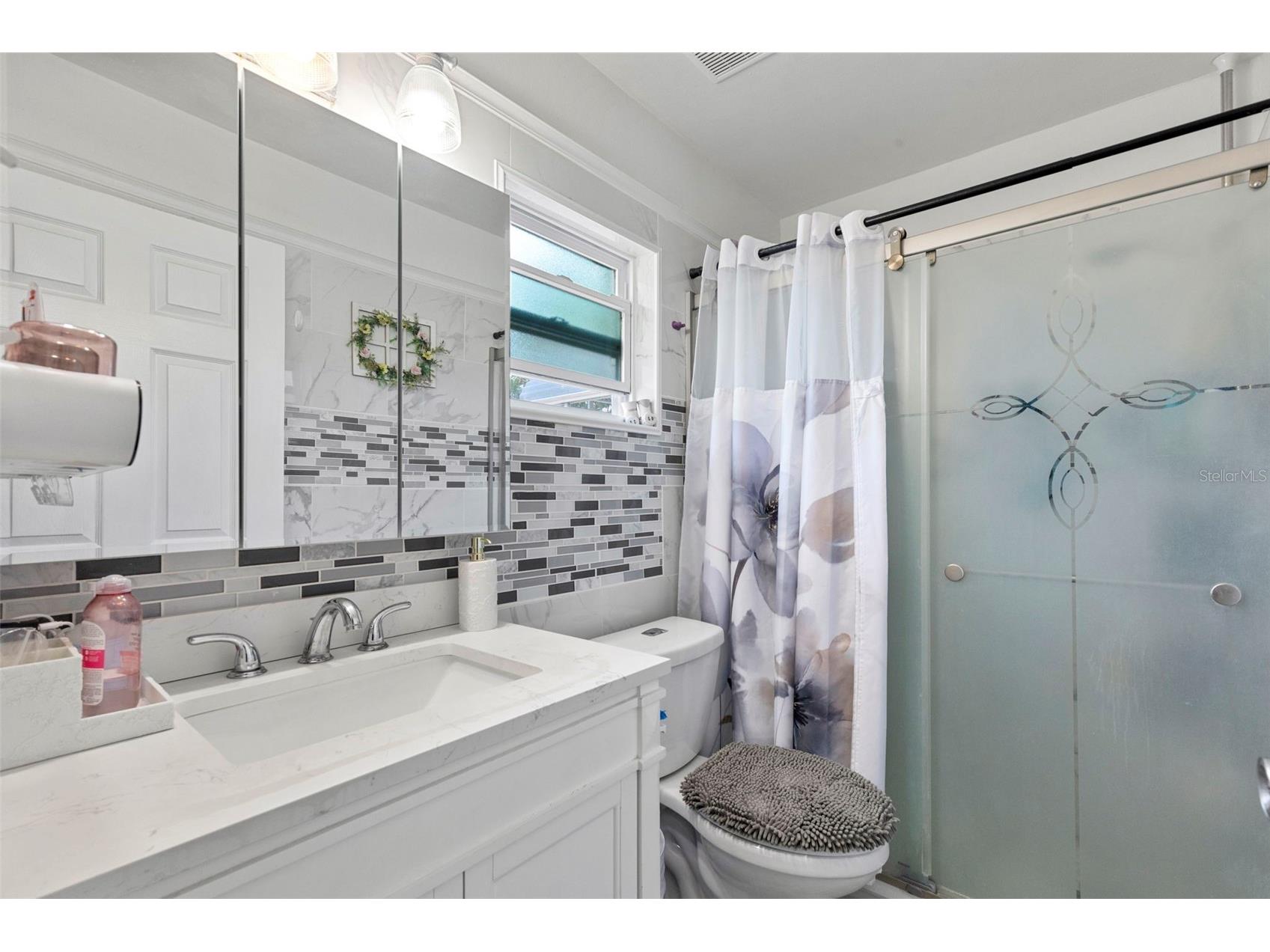 643 Bryan Terrace Drive Brandon FL 33511 TB8510822 image20
