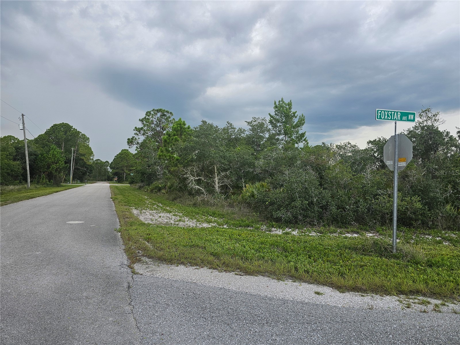 643 Buccaneer Street NW Lake Placid FL 33852 P4939251 image3