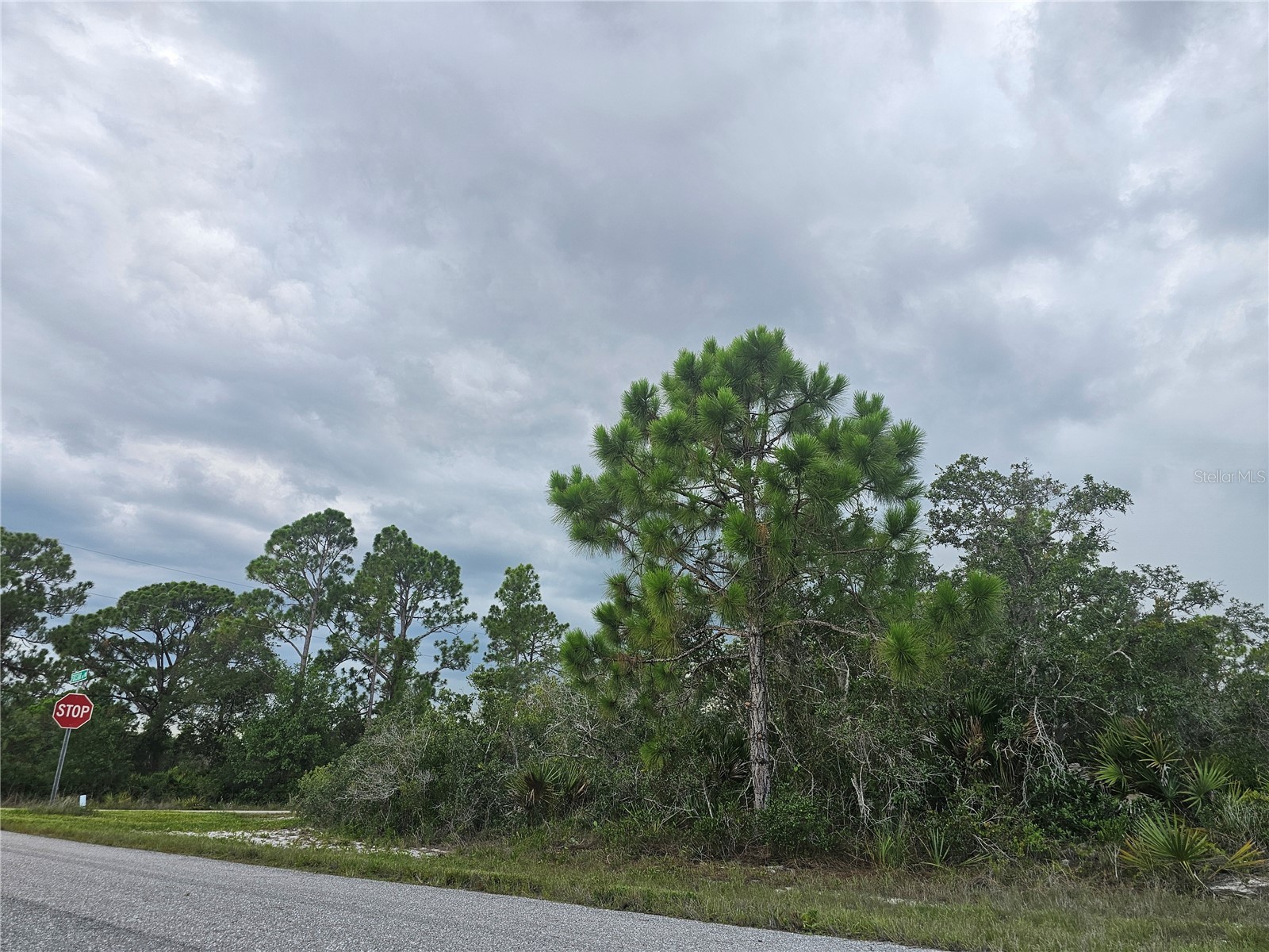 643 Buccaneer Street NW Lake Placid FL 33852 P4939251 image4