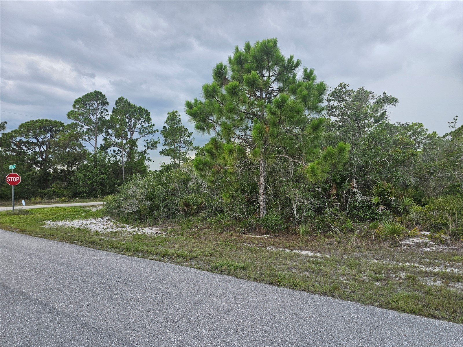 643 Buccaneer Street NW Lake Placid FL 33852 P4939251 image5