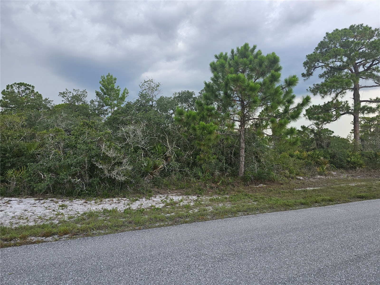 643 Buccaneer Street NW Lake Placid FL 33852 P4939251 image6