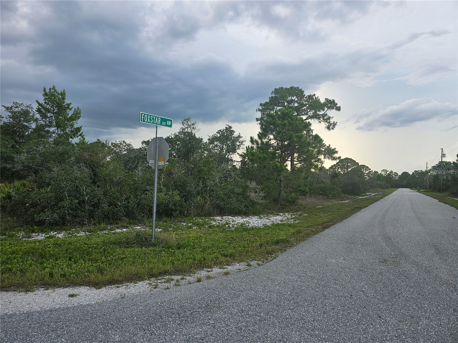 643 Buccaneer Street NW Lake Placid FL 33852 P4939251 image7