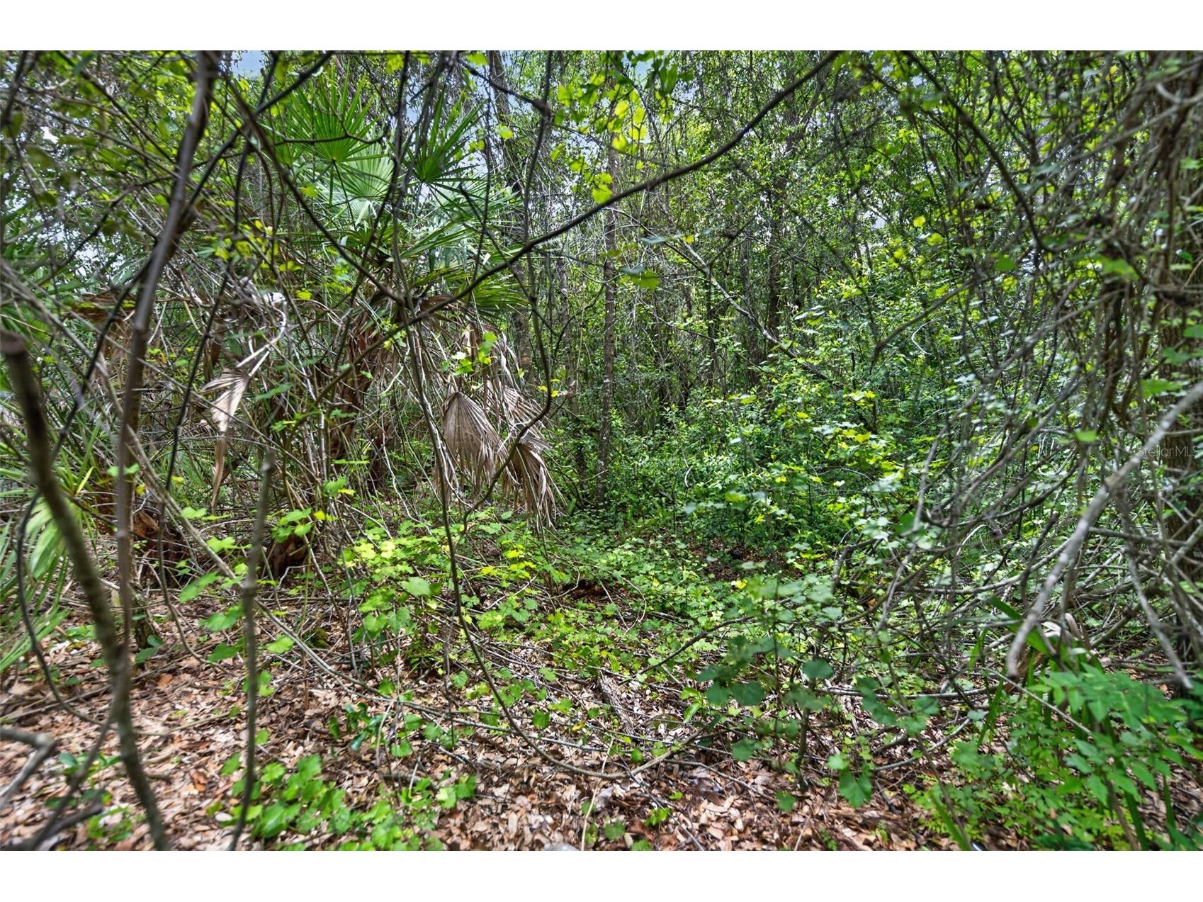 643 Elwood Street Deltona FL 32725 O6417977 image20