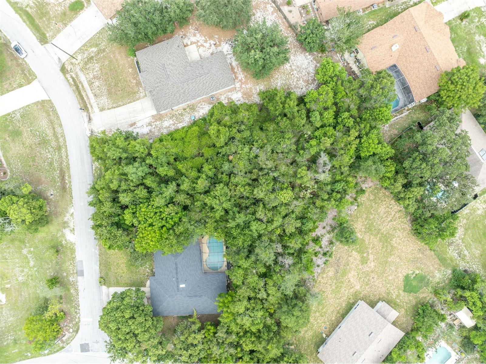 643 Elwood Street Deltona FL 32725 O6417977 image7