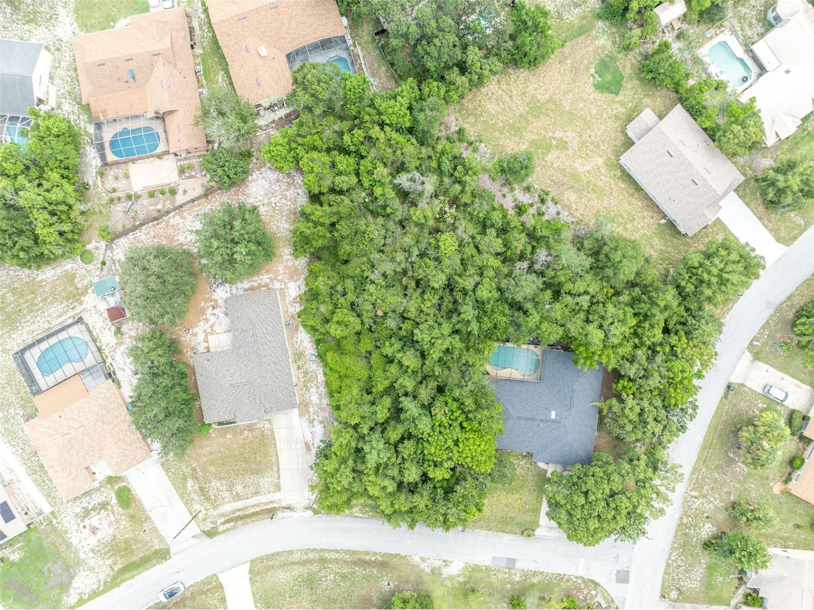 643 Elwood Street Deltona FL 32725 O6417977 image8