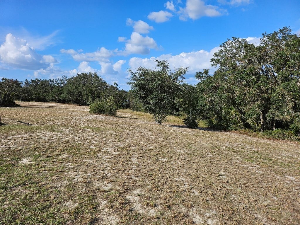 643 Fazzini Road Babson Park FL 33827 P4936587 image21