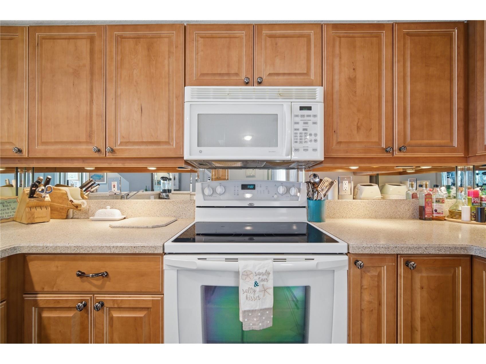 643 Garland Circle Indian Rocks Beach FL 33785 TB8512290 image24