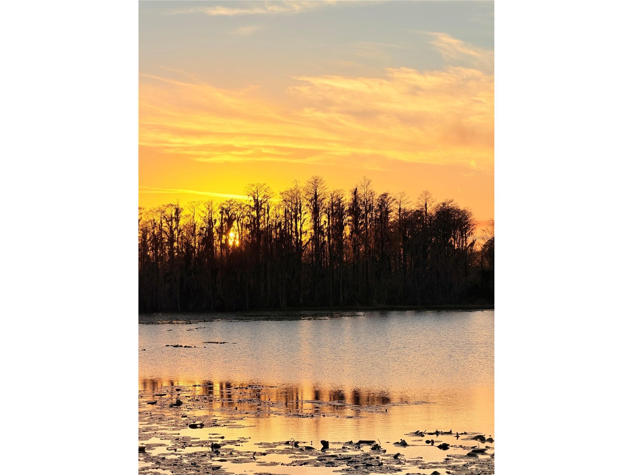 643 Highgate Park Boulevard Davenport FL 33897 O6381120 image23