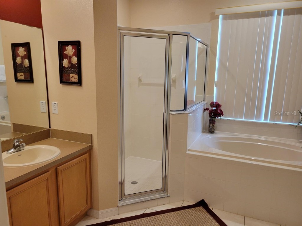 643 Orista Drive Davenport FL 33897 O6301650 image13