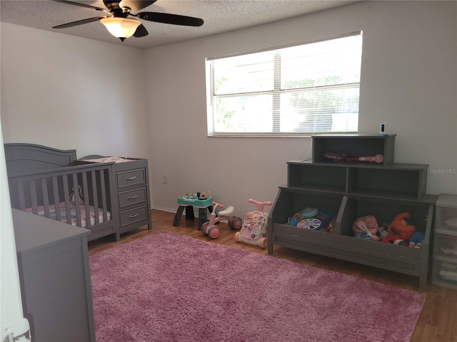 6430 Lomand Avenue New Port Richey FL 34653 TB8499215 image13