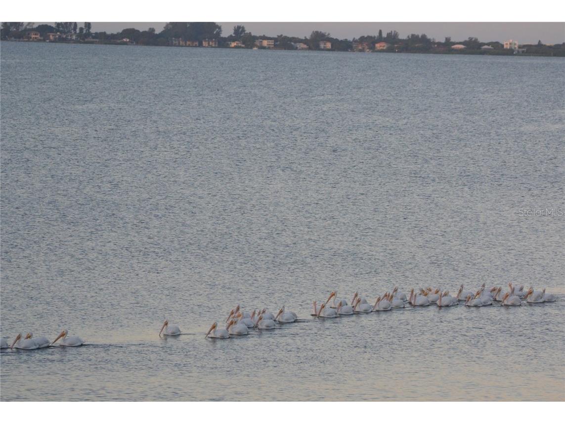 6430 Sun Eagle Lane #201 Bradenton FL 34210 - SARASOTA BAY A4664788 image46