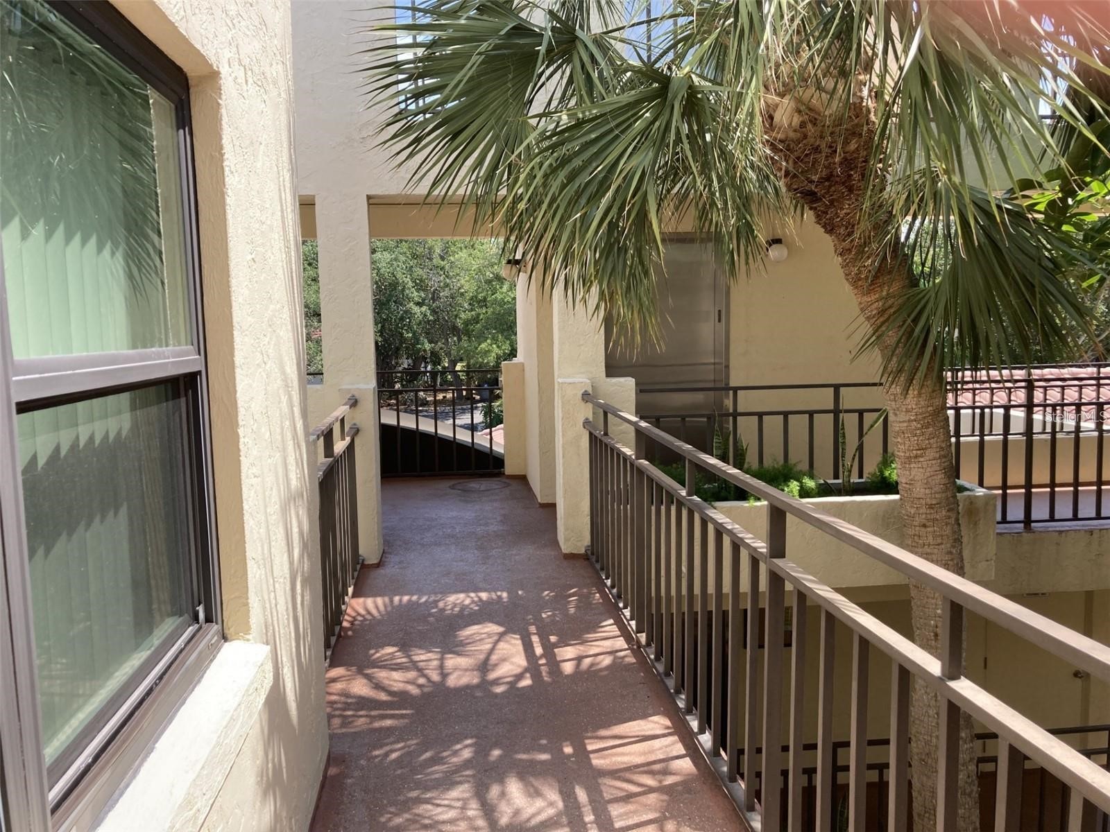 6430 Sun Eagle Lane #203 Bradenton FL 34210 A4699954 image25