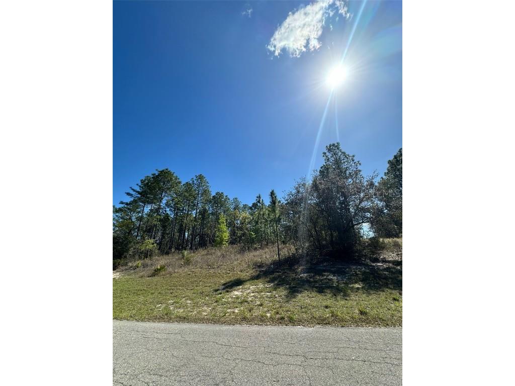 6430 SW 144th Street Road Ocala FL 34473 O6186932 image1