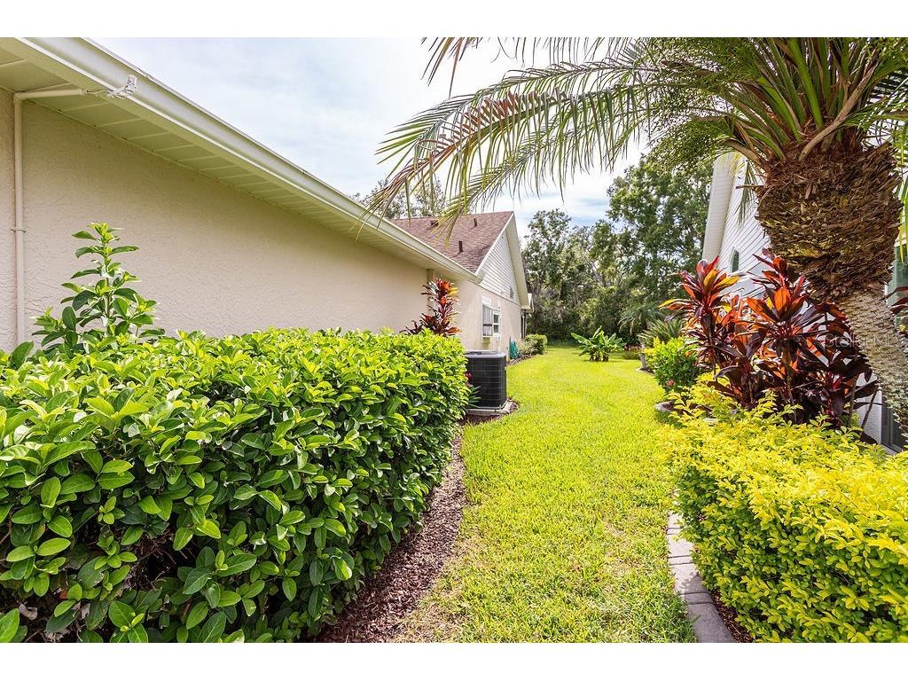 6431 Gentle Ben Circle Wesley Chapel FL 33544 TB8414086 image5