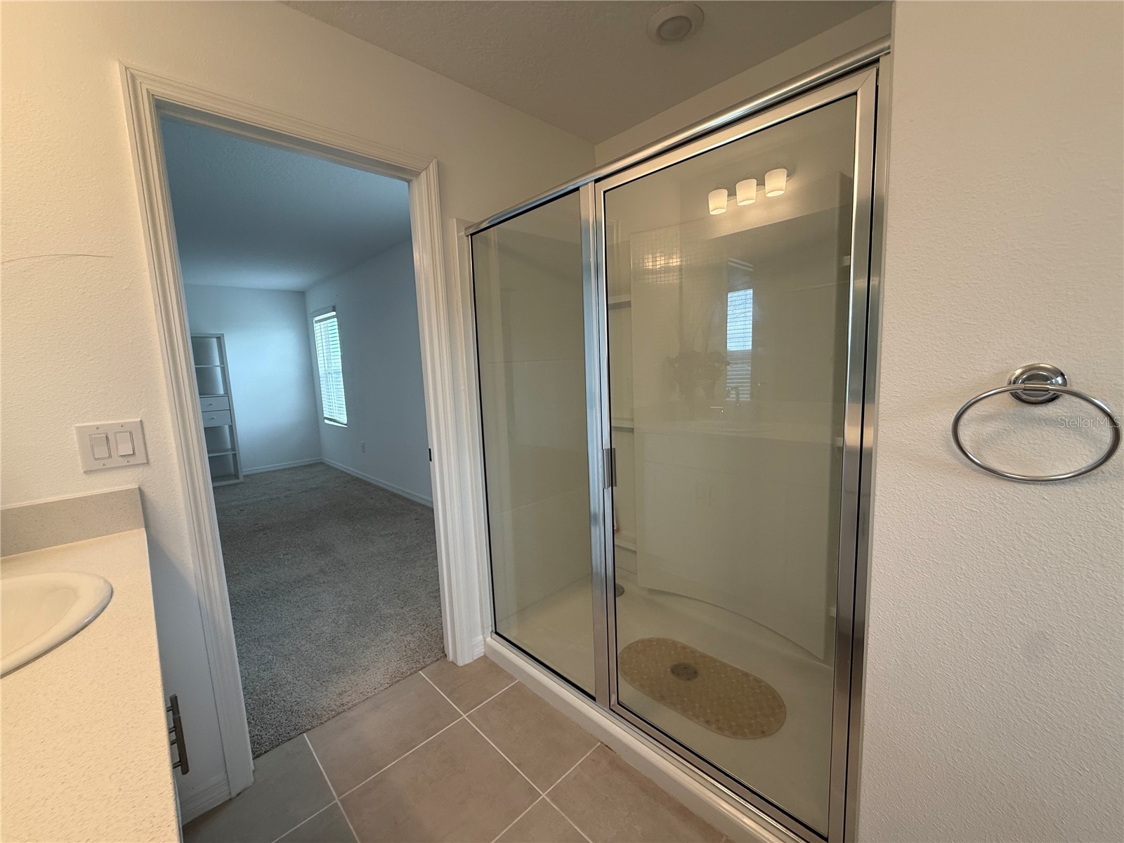6431 Milestone Loop Palmetto FL 34221 A4690698 image12
