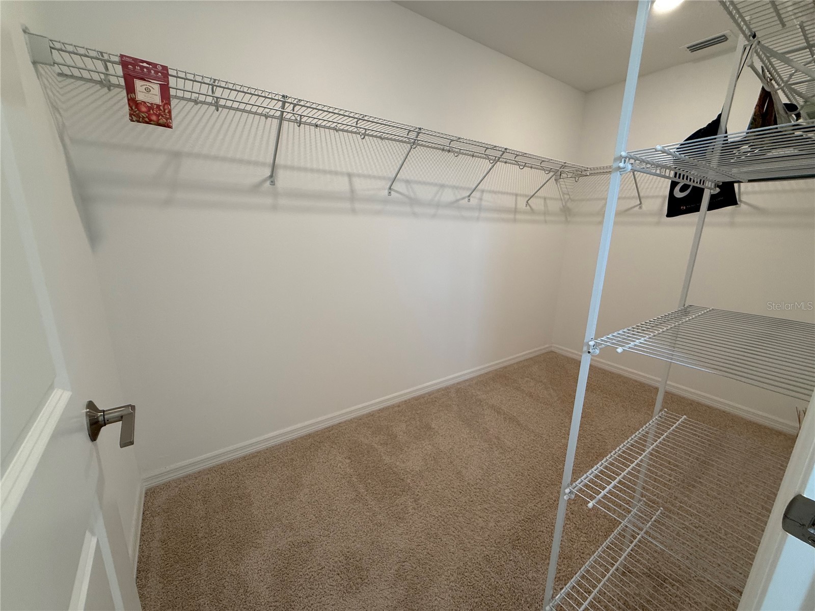 6431 Milestone Loop Palmetto FL 34221 A4690698 image13