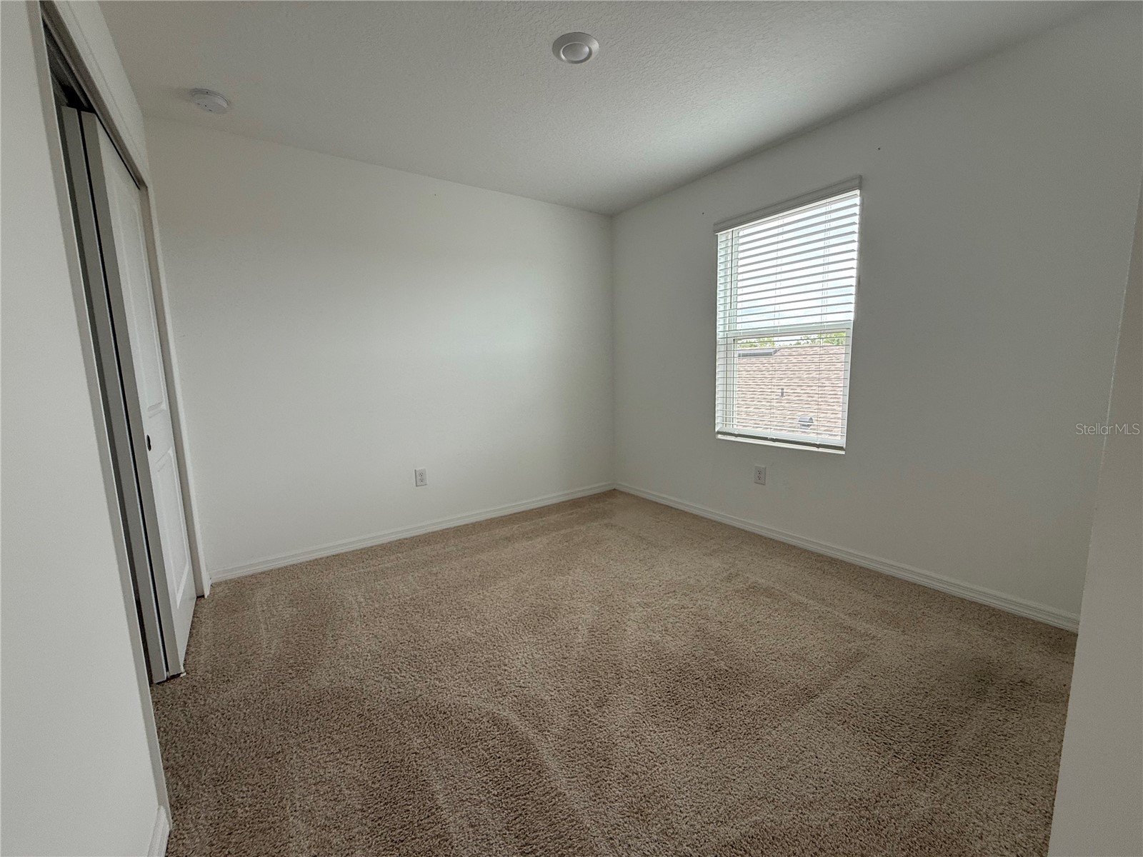6431 Milestone Loop Palmetto FL 34221 A4690698 image16