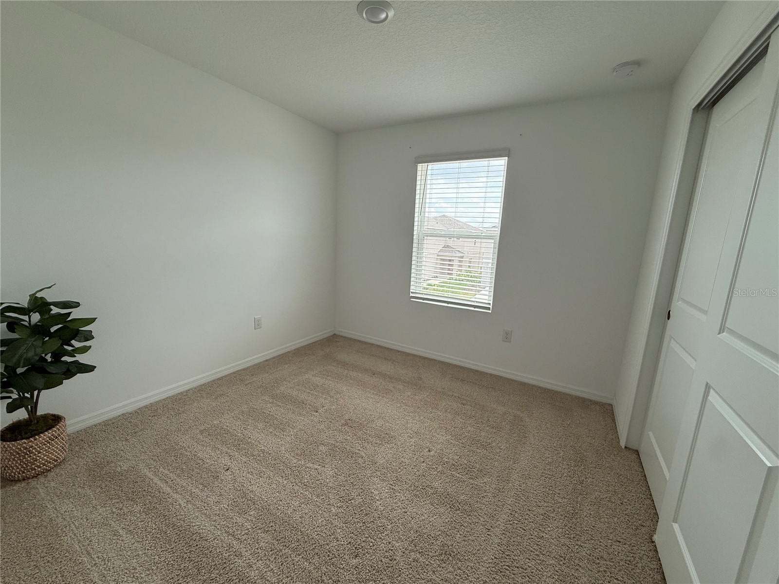 6431 Milestone Loop Palmetto FL 34221 A4690698 image17