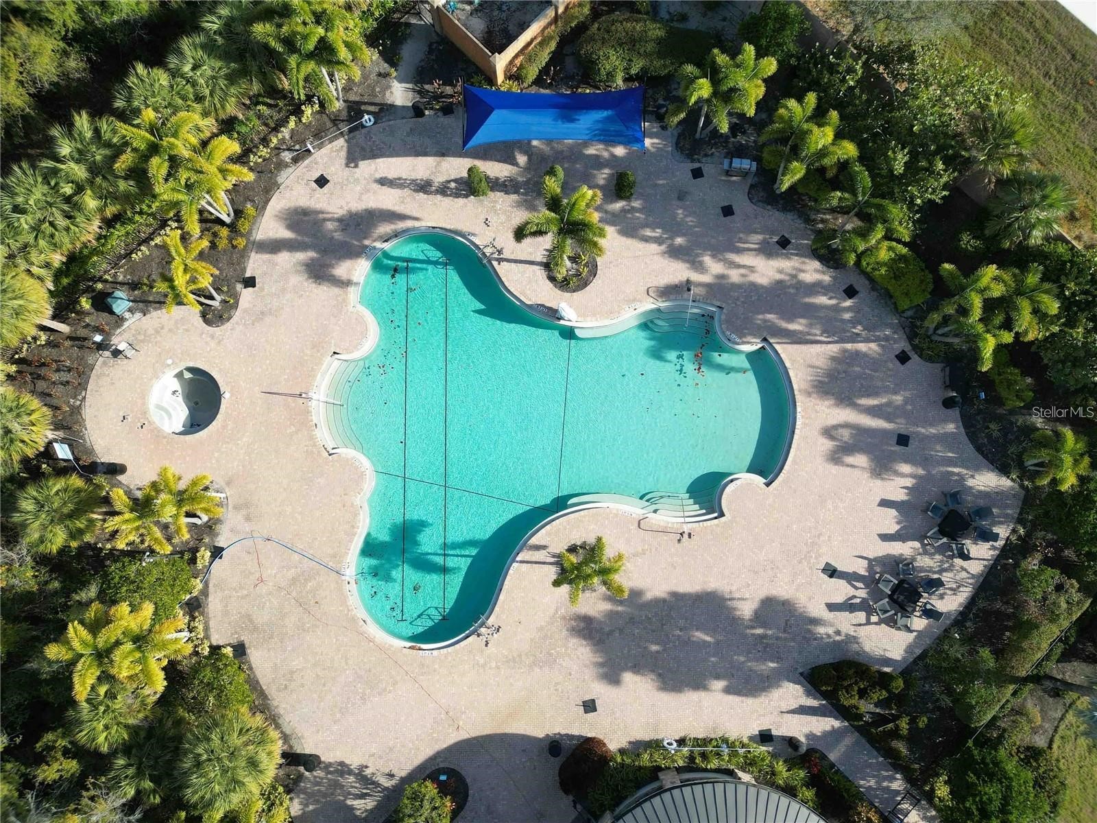 6431 Milestone Loop Palmetto FL 34221 A4690698 image25