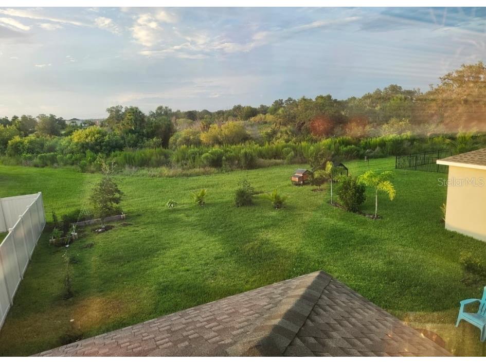 6431 Milestone Loop Palmetto FL 34221 A4690698 image28
