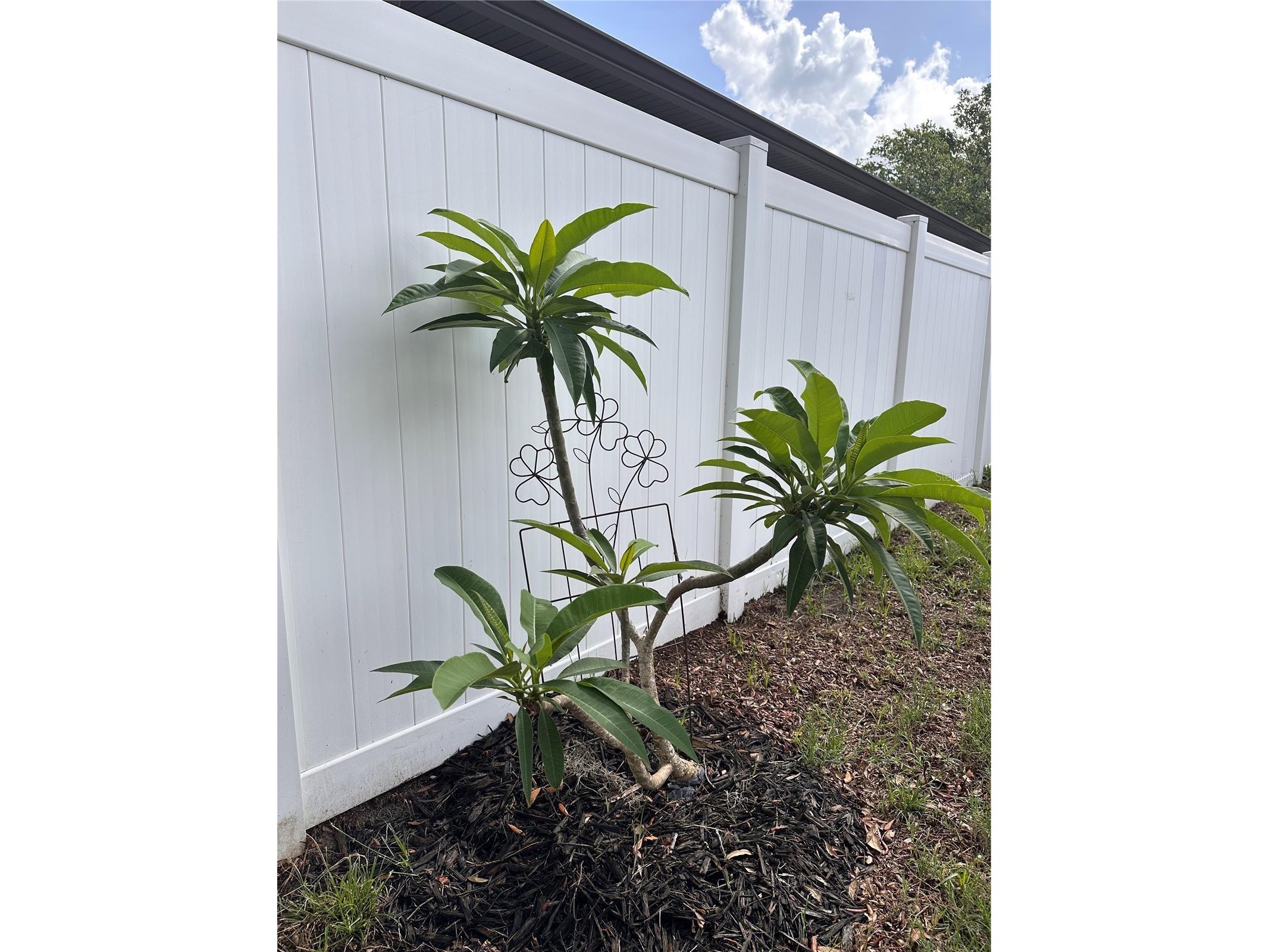 6431 Taylor Court New Port Richey FL 34653 TB8453599 image31