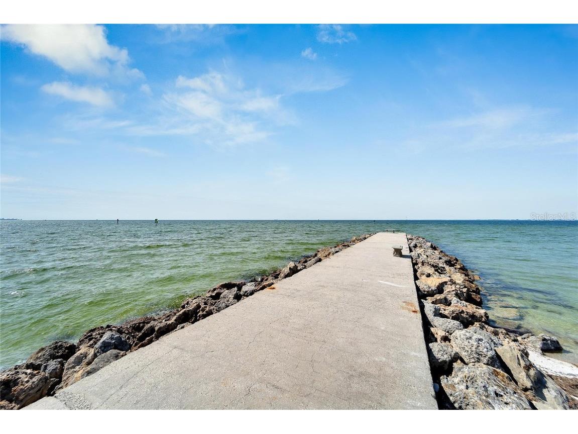 6432 Rubia Circle Apollo Beach FL 33572 TB8458319 image12