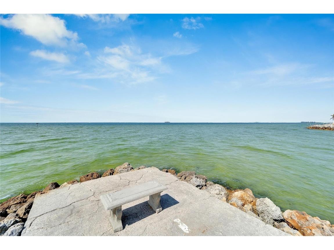 6432 Rubia Circle Apollo Beach FL 33572 TB8458319 image14