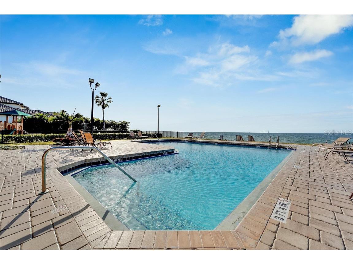 6432 Rubia Circle Apollo Beach FL 33572 TB8458319 image18