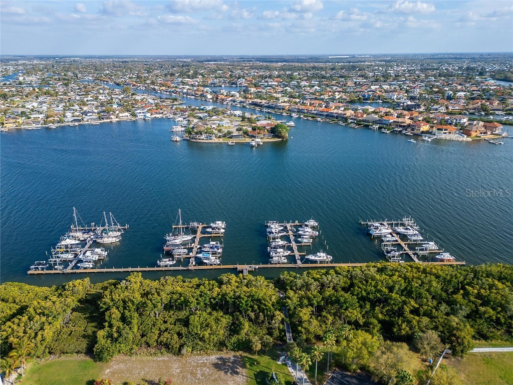 6432 Rubia Circle Apollo Beach FL 33572 TB8458319 image29