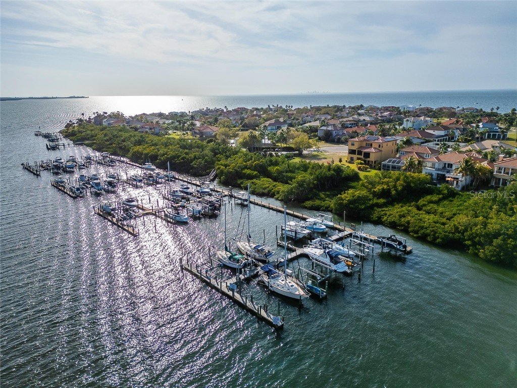 6432 Rubia Circle Apollo Beach FL 33572 TB8458319 image30