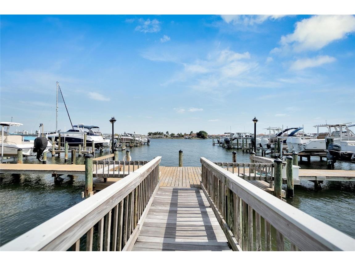 6432 Rubia Circle Apollo Beach FL 33572 TB8458319 image7