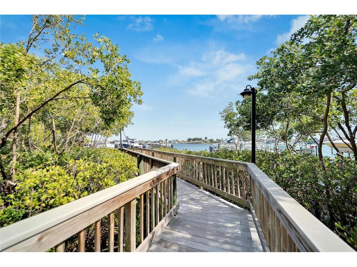 6432 Rubia Circle Apollo Beach FL 33572 TB8458319 image8