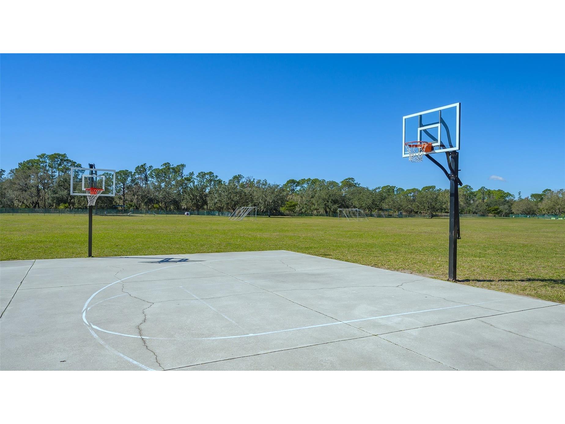 6433 Blue Grosbeak Circle Lakewood Ranch FL 34202 A4681479 image54