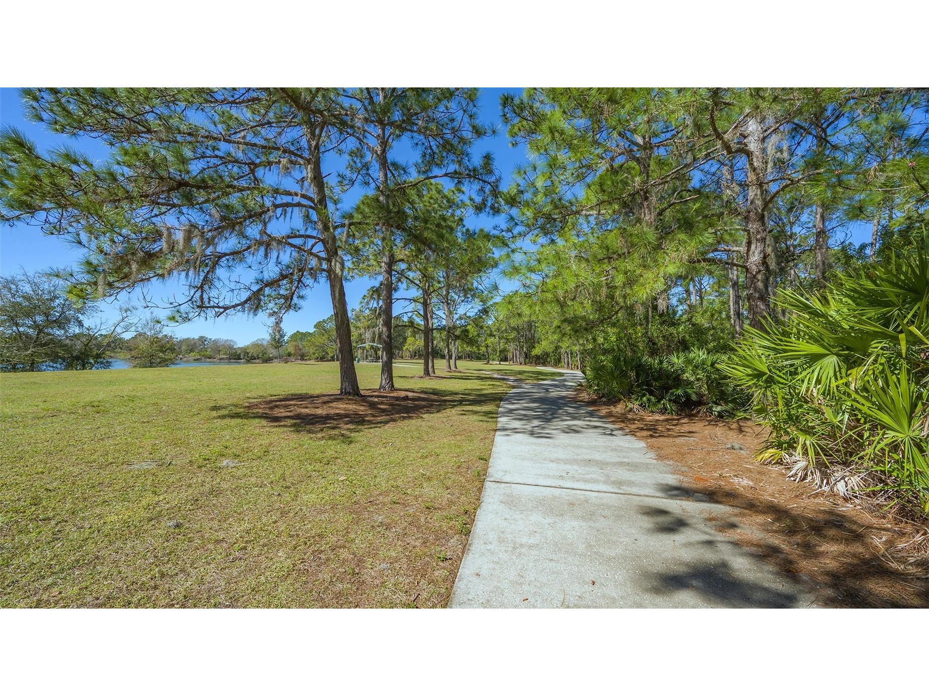 6433 Blue Grosbeak Circle Lakewood Ranch FL 34202 A4681479 image63