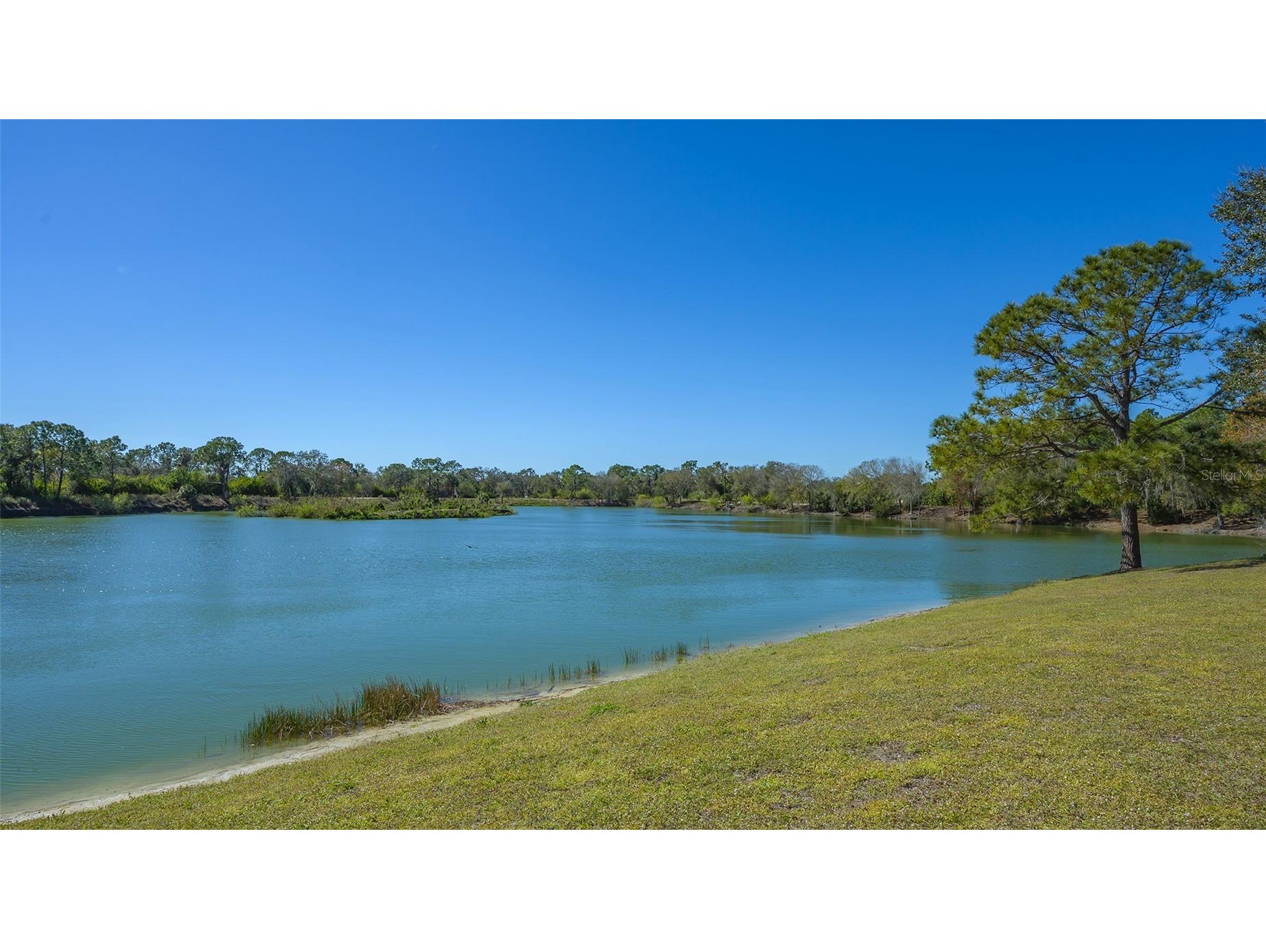 6433 Blue Grosbeak Circle Lakewood Ranch FL 34202 A4681479 image65