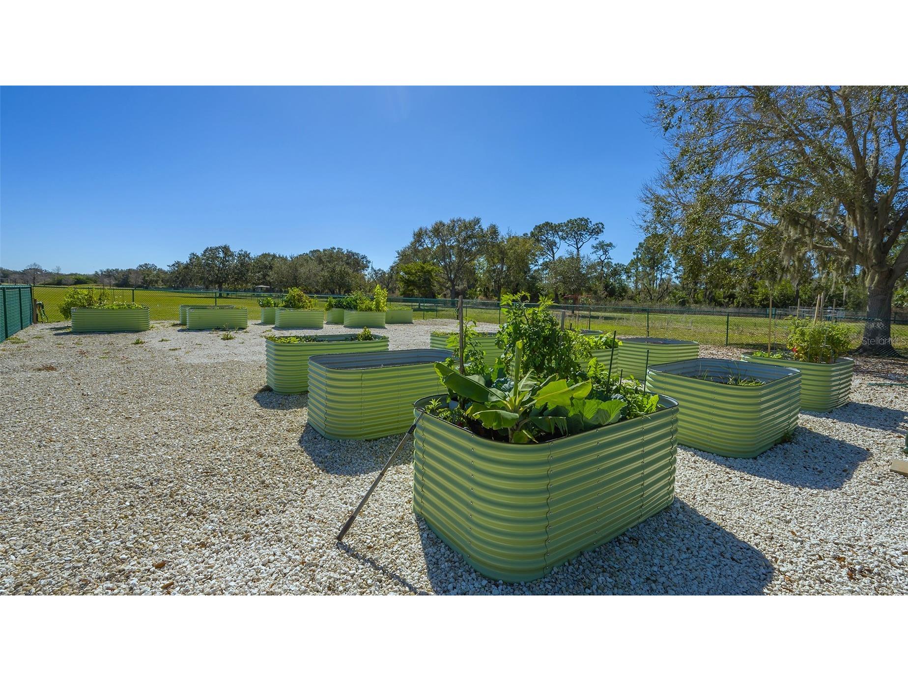 6433 Blue Grosbeak Circle Lakewood Ranch FL 34202 A4681479 image66