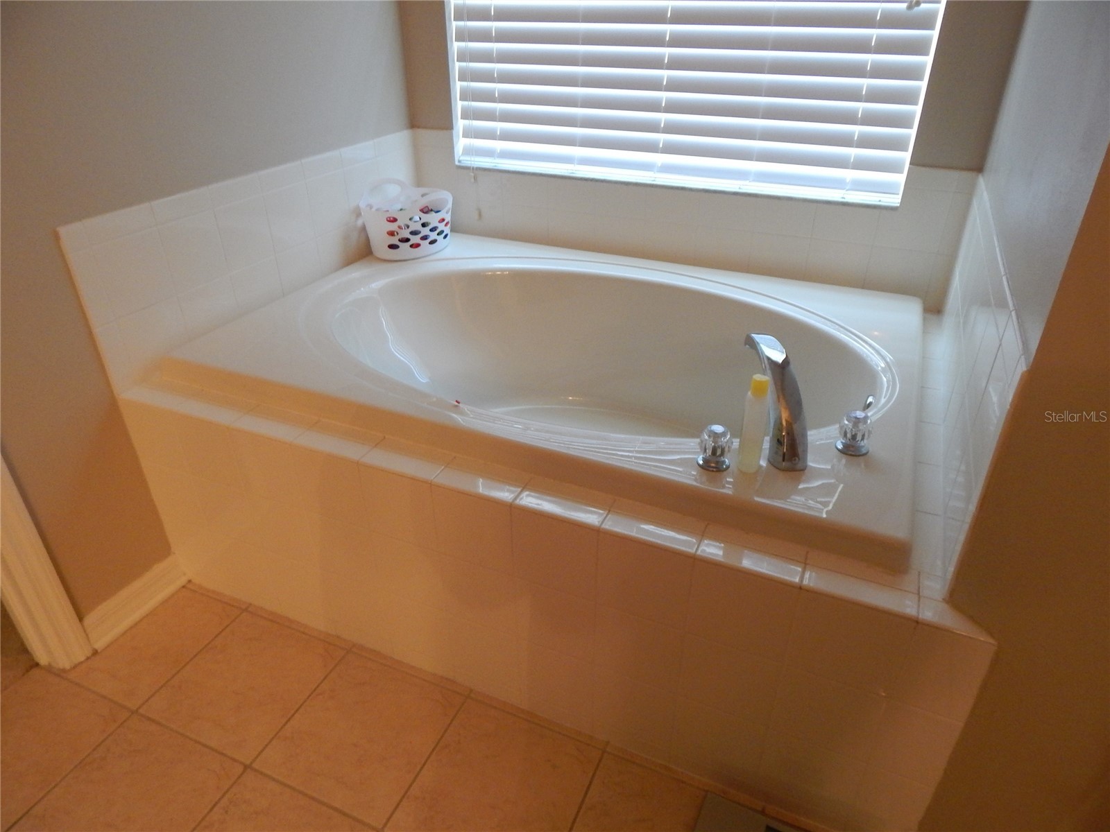 6433 Bridgecrest Drive Lithia FL 33547 TB8508796 image11