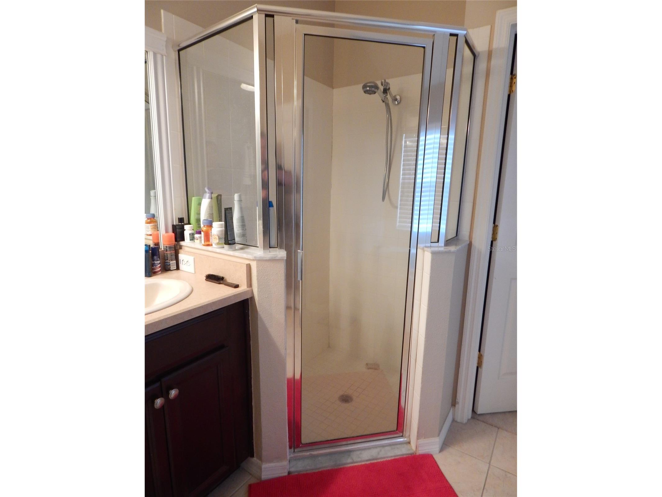 6433 Bridgecrest Drive Lithia FL 33547 TB8508796 image12