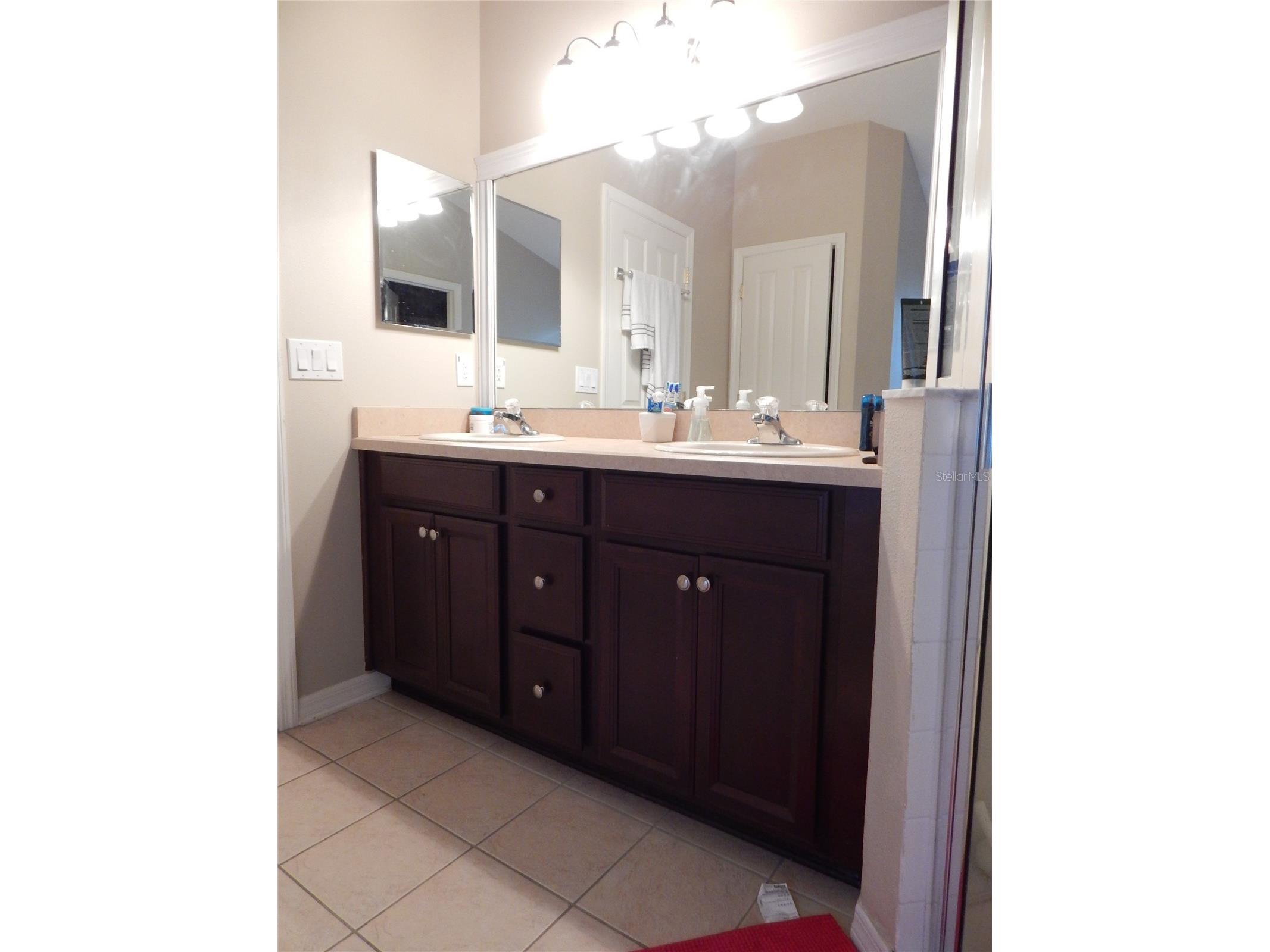 6433 Bridgecrest Drive Lithia FL 33547 TB8508796 image13
