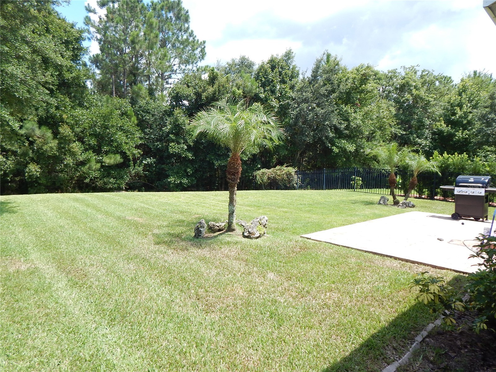 6433 Bridgecrest Drive Lithia FL 33547 TB8508796 image15